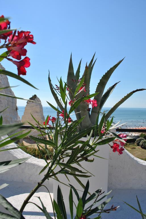 Hotel Falcone Vieste Esterno foto